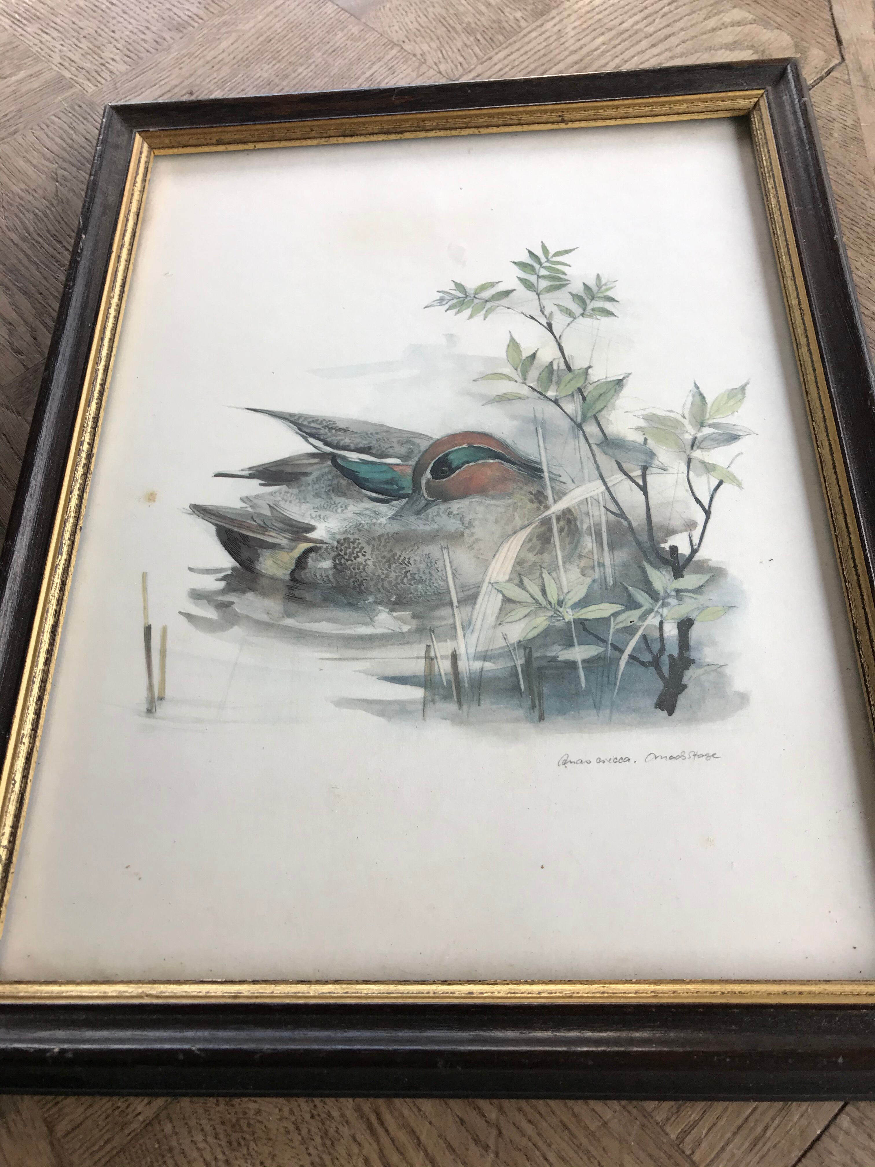 Vintage nature painting, Teal