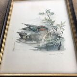 Vintage nature painting, Teal