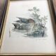 Vintage nature painting, Teal