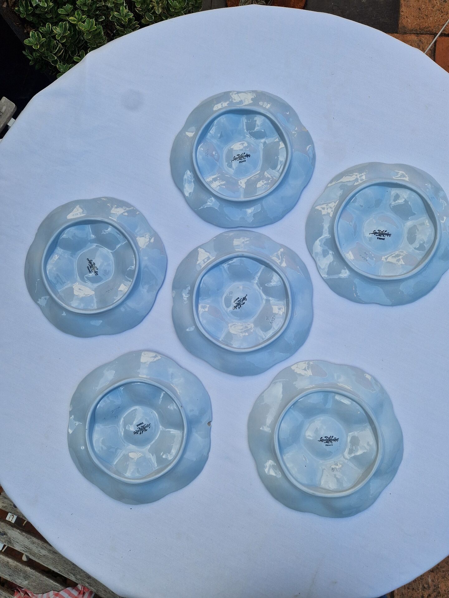 Set of 6 shell plates