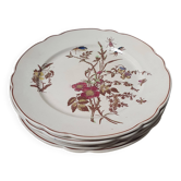 Assiettes plates en terre de fer