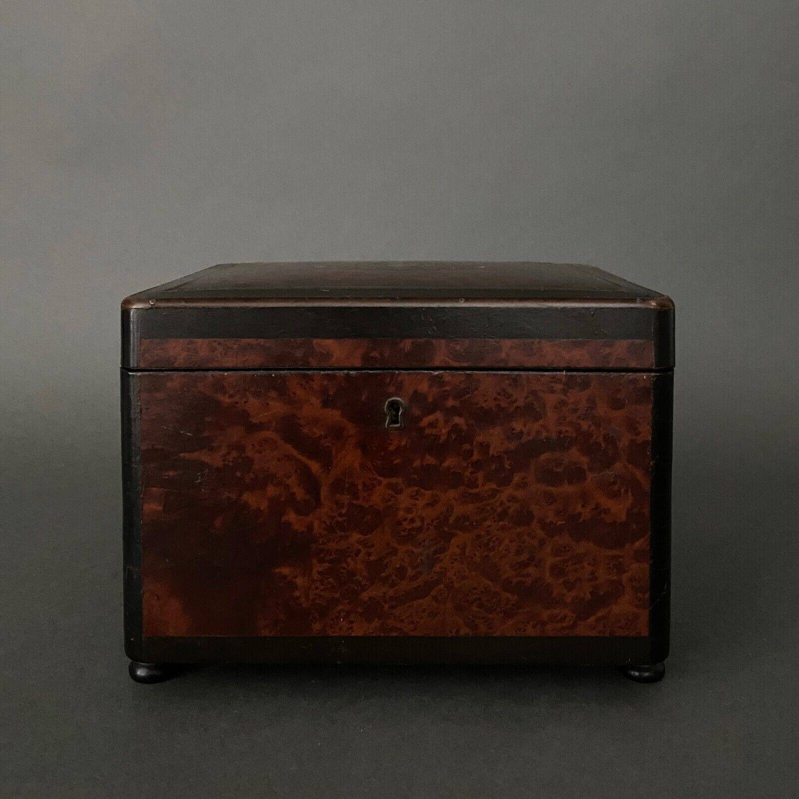 Napoleon III cigar box in 19th century magnifying glass