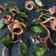 Pair of painted sheet metal flower sconces, Italian, 1960