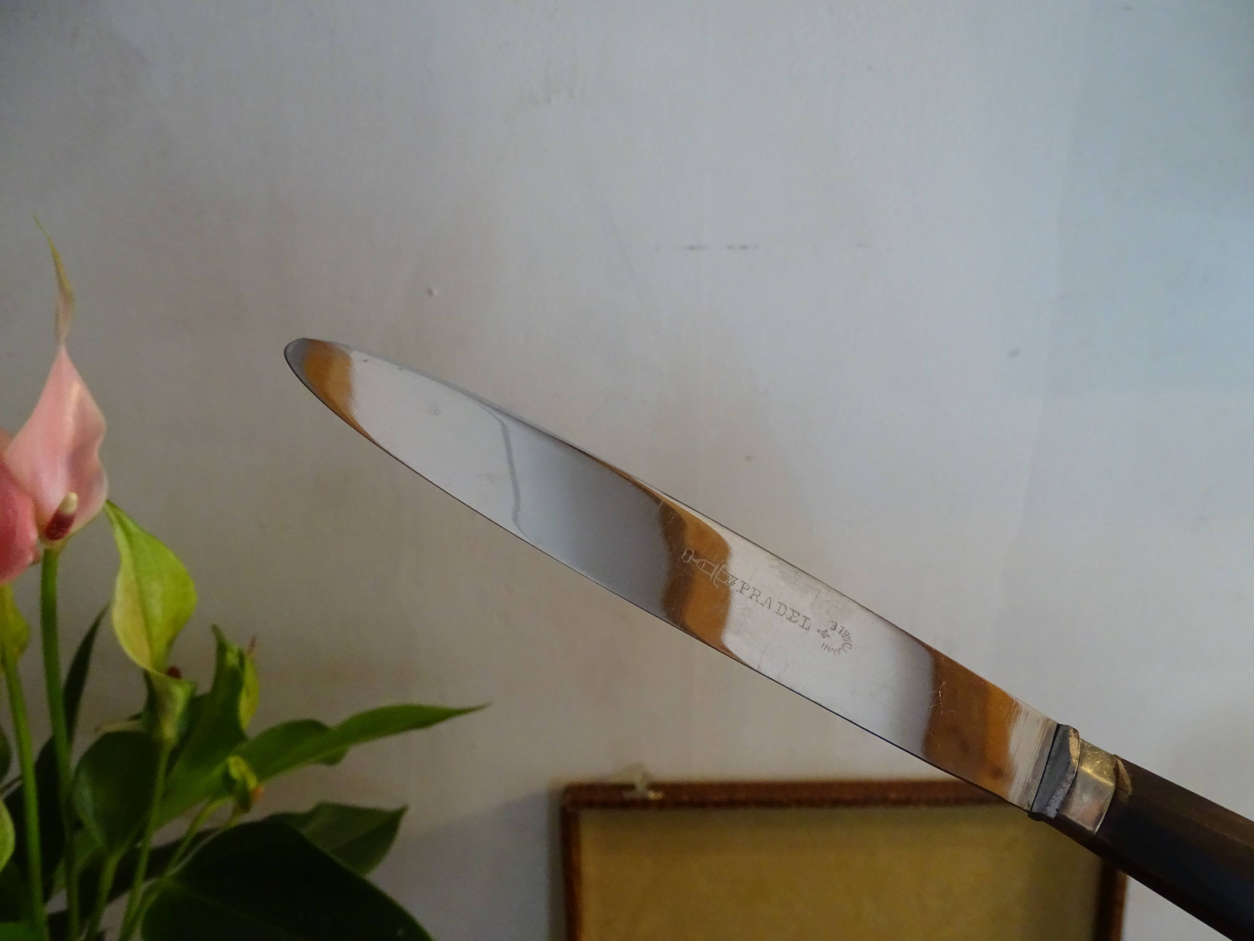 12 vintage dessert knives Pradel horn sleeves in case