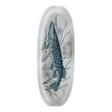 Fish dish