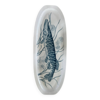 Fish dish