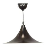 Black lacquered metal pendant light