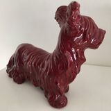 Skye Terrier Dog