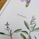 Printed in 1986, the Sage. Vintage Botany.
