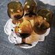 Liqueur glasses
