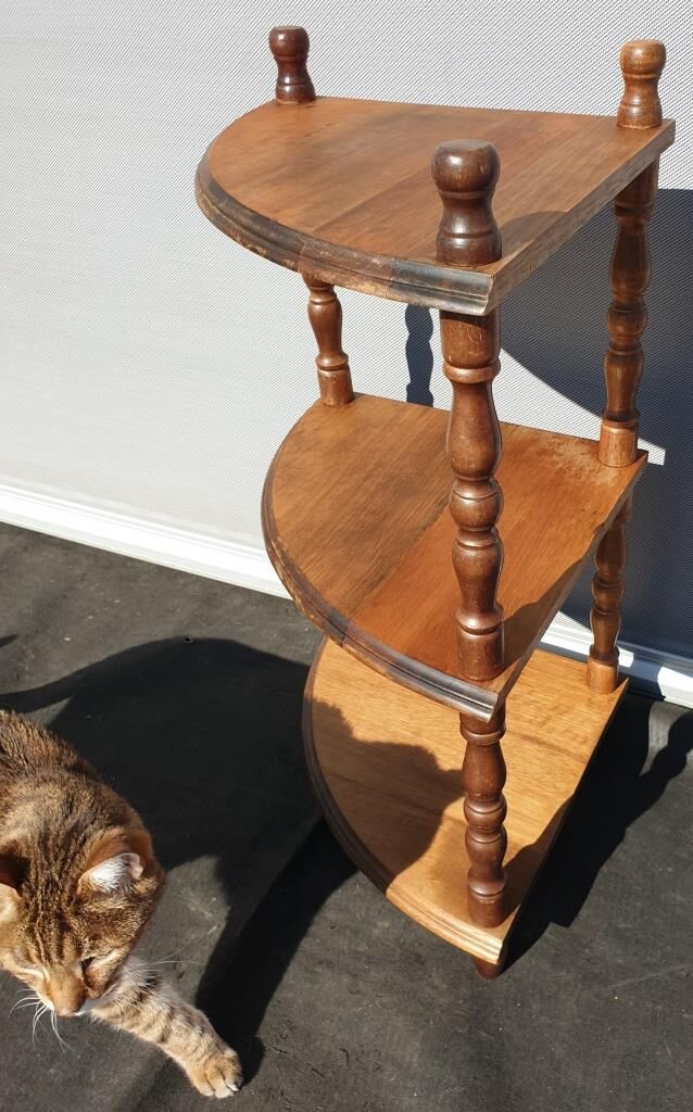 Corner display 3 corner shelves in Walnut