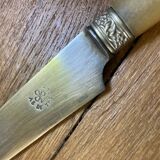 Set de 12 couteaux manche en corne