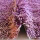 Tapis Vintage Beni MGuild - 325 x 197 cm
