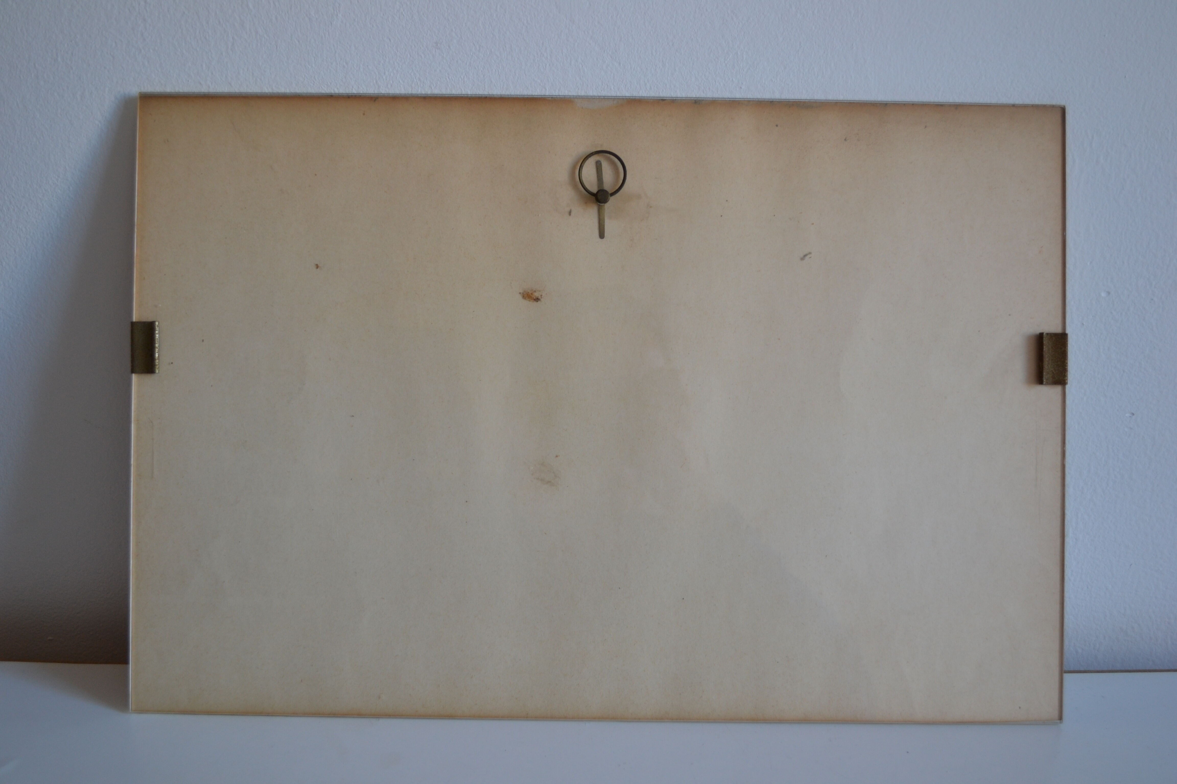 Vintage animal print ducks