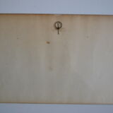 Vintage animal print ducks