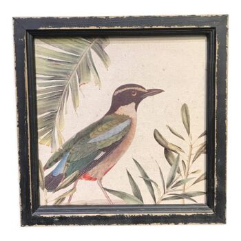 Bird frame on canvas