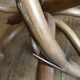 Porte manteau perroquet