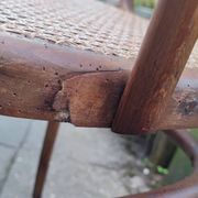 Thonet armchair no. 56