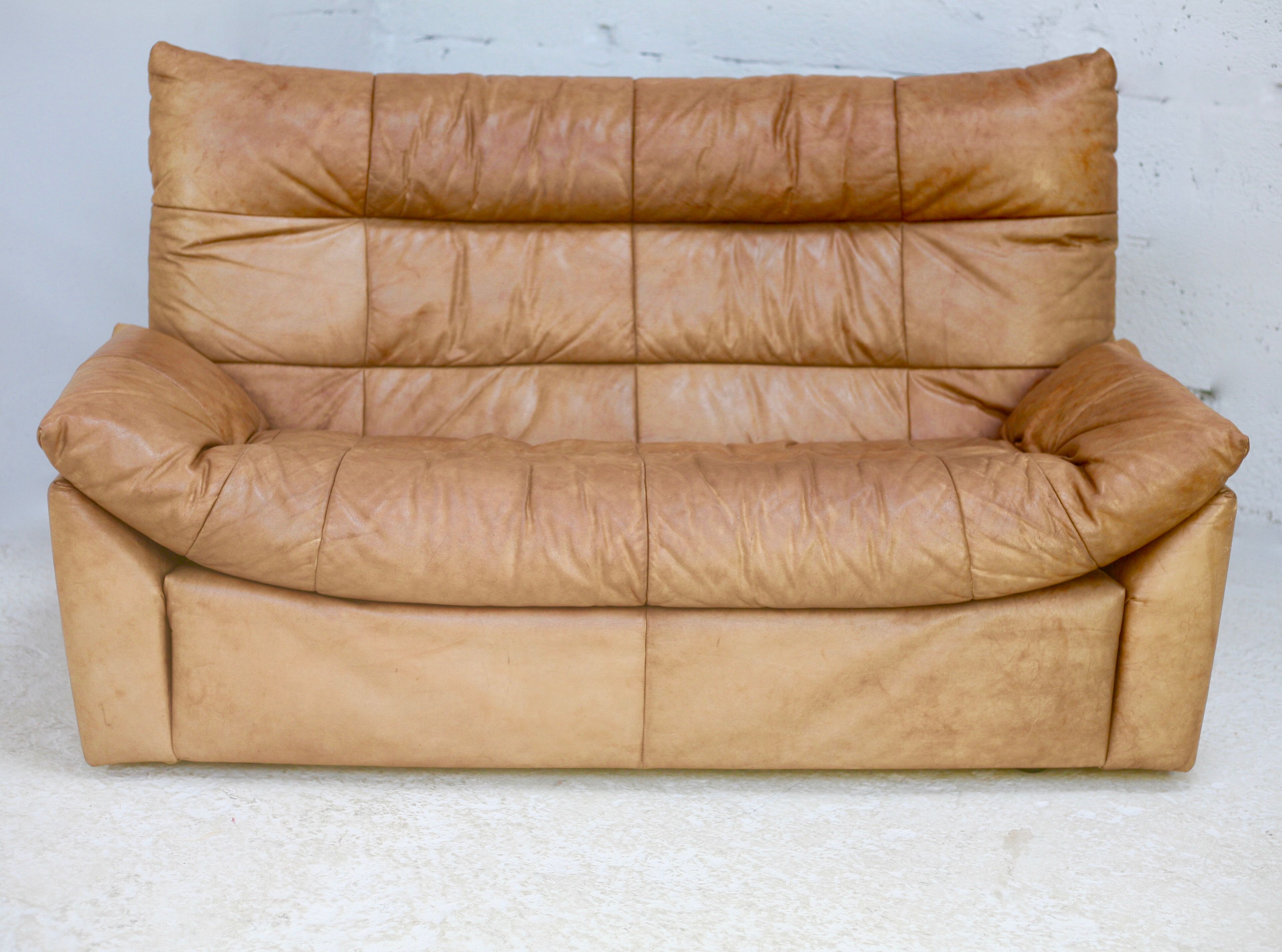 Sofa by Michel Ducaroy, leather, 1978. Model Dianthus. Edited by Ligne Roset.
