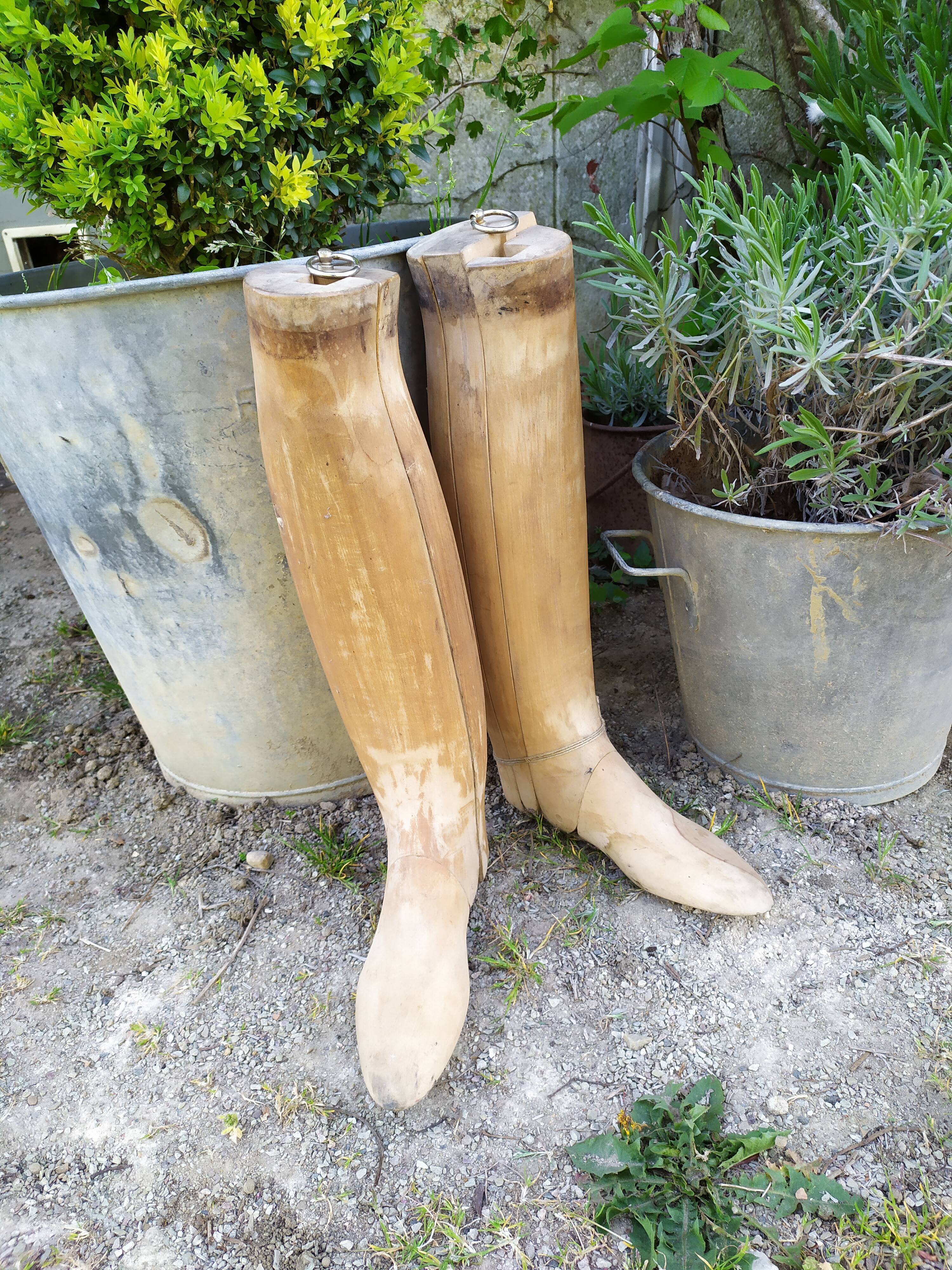 Boot shoe trees