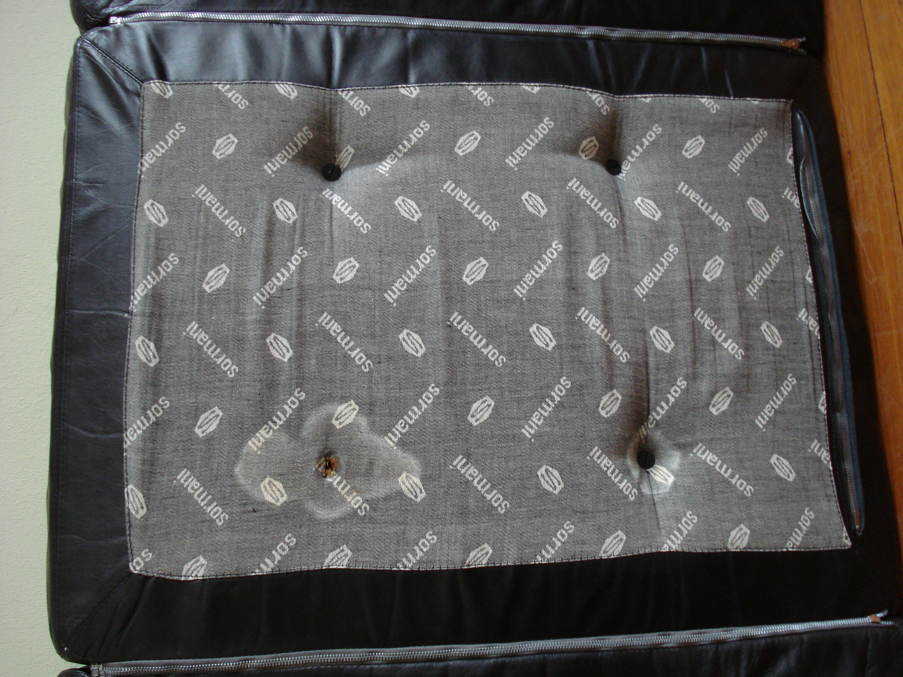 Canapé-lit de repos  Gs195  par Gianni Songia pour Luigi Sormani, années 1960