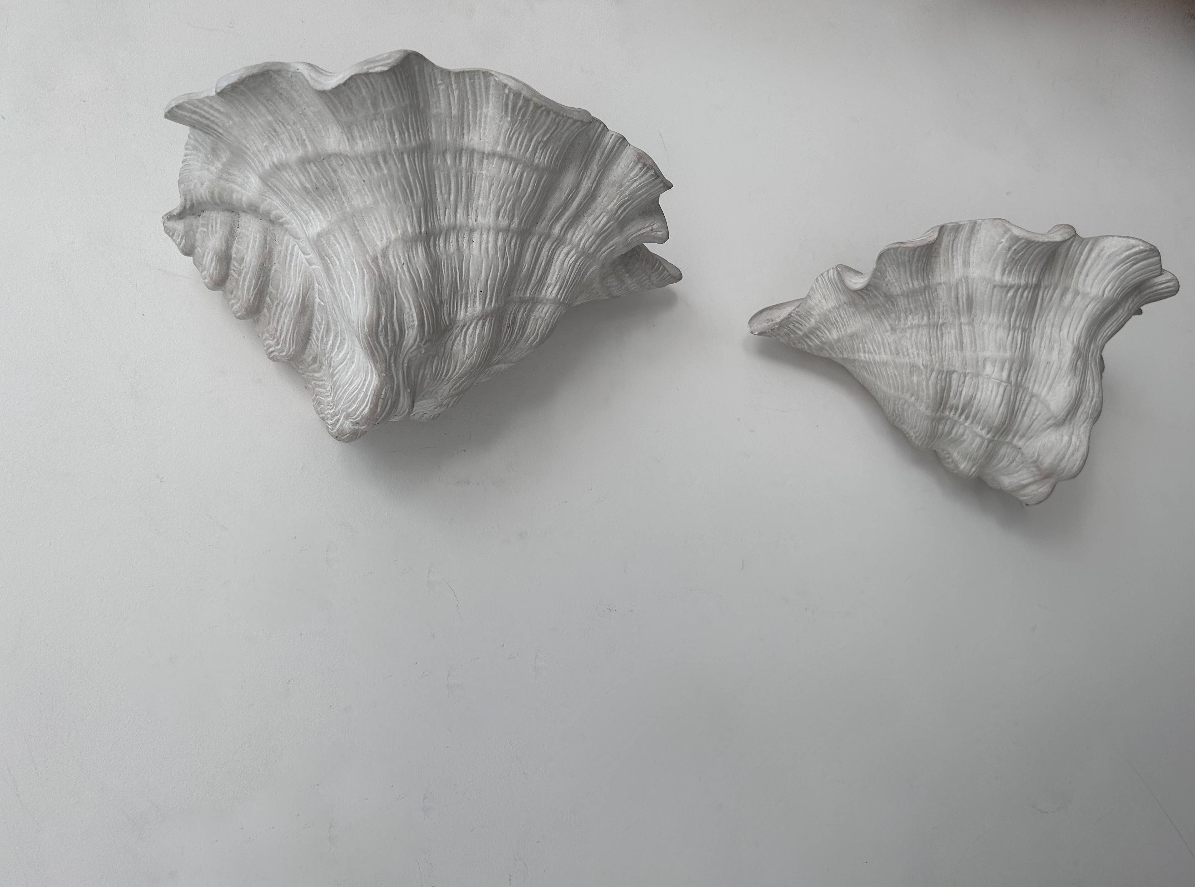Pair of vintage shell wall lights, matte white plaster, France 1940