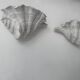Pair of vintage shell wall lights, matte white plaster, France 1940