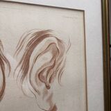 Old Print Engraving 19th Century Study of an Ear After Janinet Le Clerc