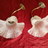 Pair of wall lights with tulips