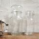 Apothecary jar duo