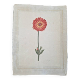 La Roche Laffitte (Born in 1943) - Watercolour drawing on silk - Marigold