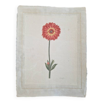 La Roche Laffitte (Born in 1943) - Watercolour drawing on silk - Marigold