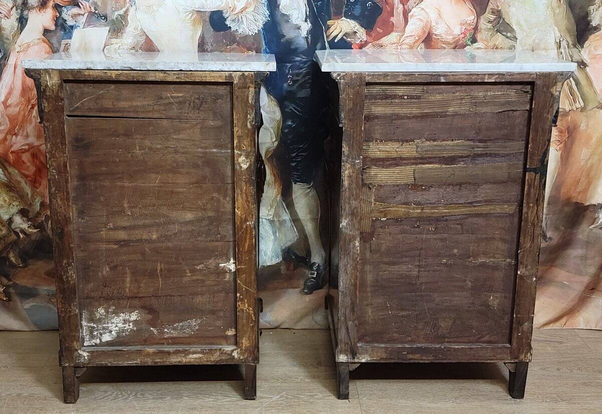 Rare pair of Italian display furniture from the Charles X period in mahogany.