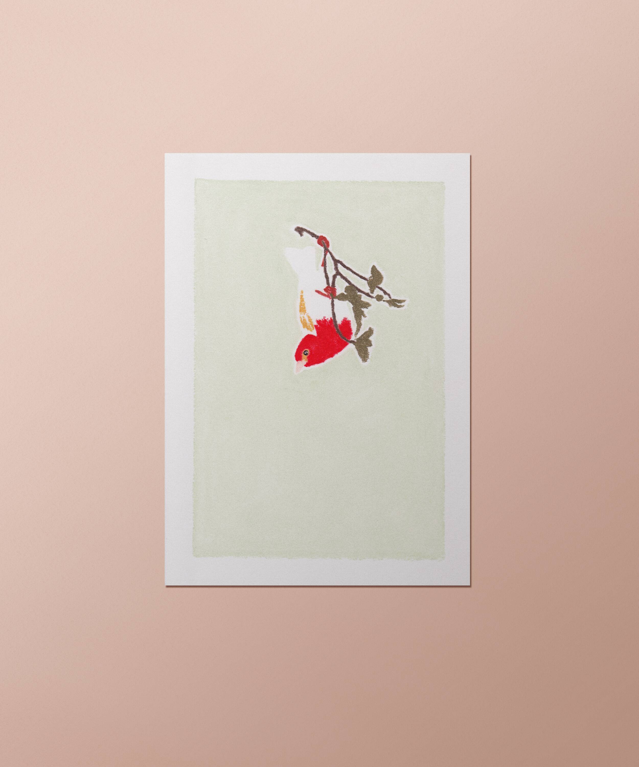 Bird "Scarlet Weaver" - Original Drawing