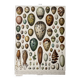 Illustration ancienne Millot "oeufs"