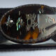 Silver and tortoiseshell letter opener