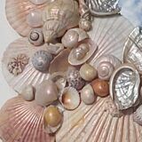 Vintage seashell mirror 31x35cm