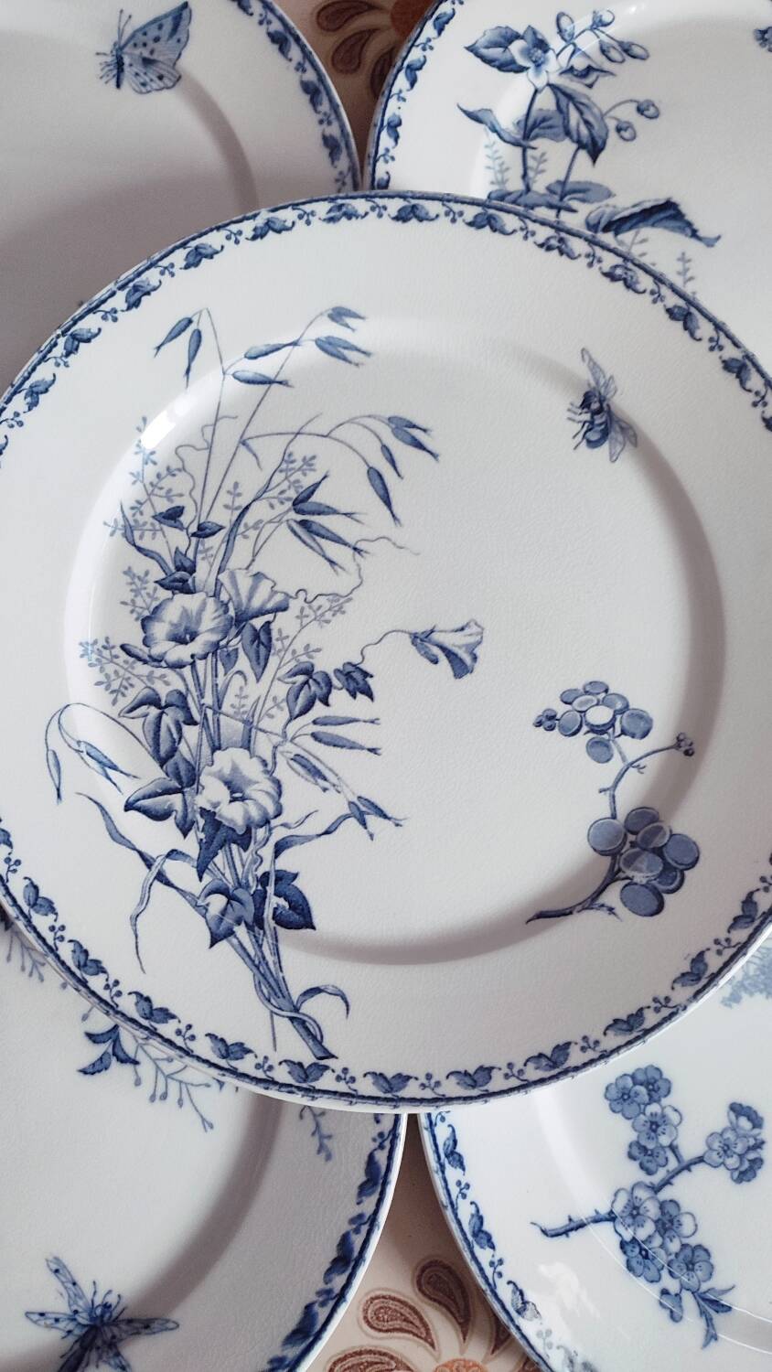 5 Carmen dinner plates by UetC Sarreguemines