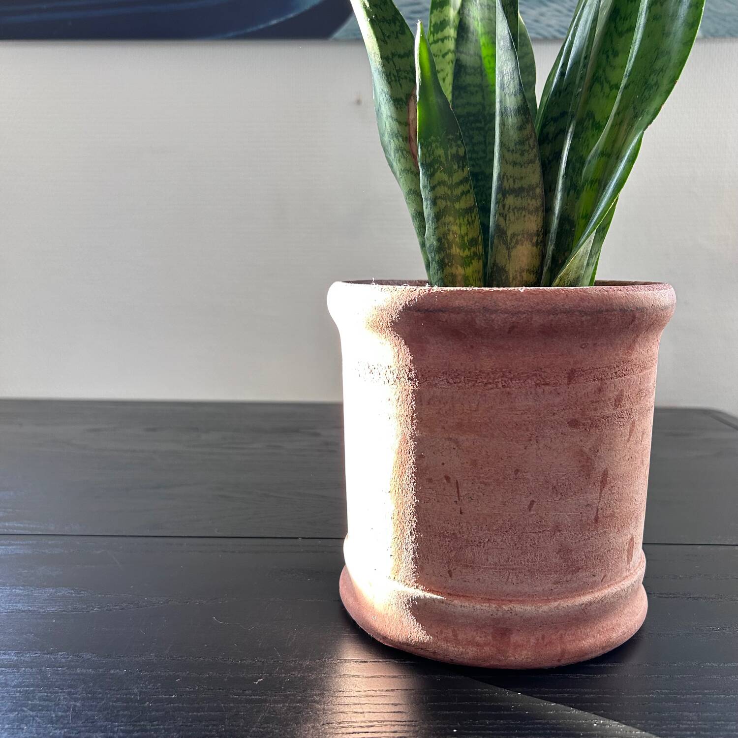Terracotta flowerpot