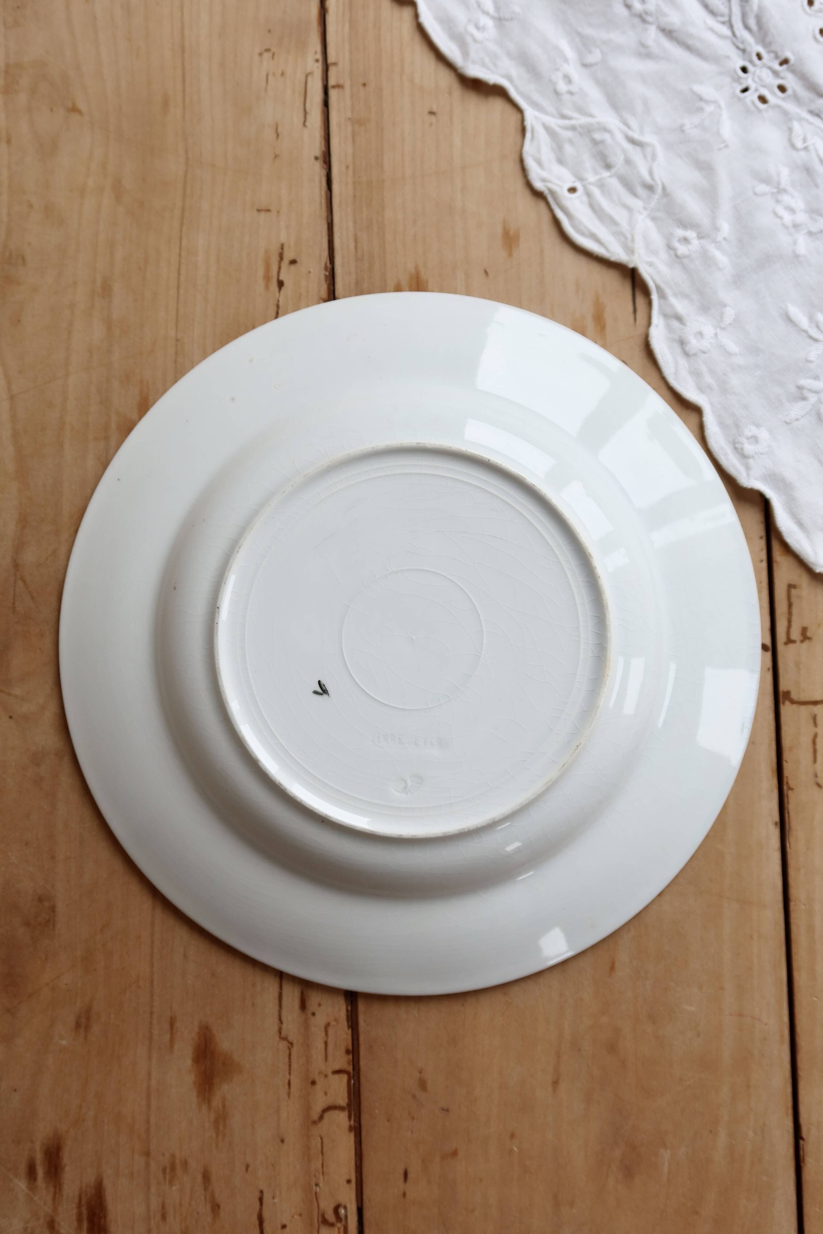 Red iron clay deep plate Saint Amandinoise iris model
