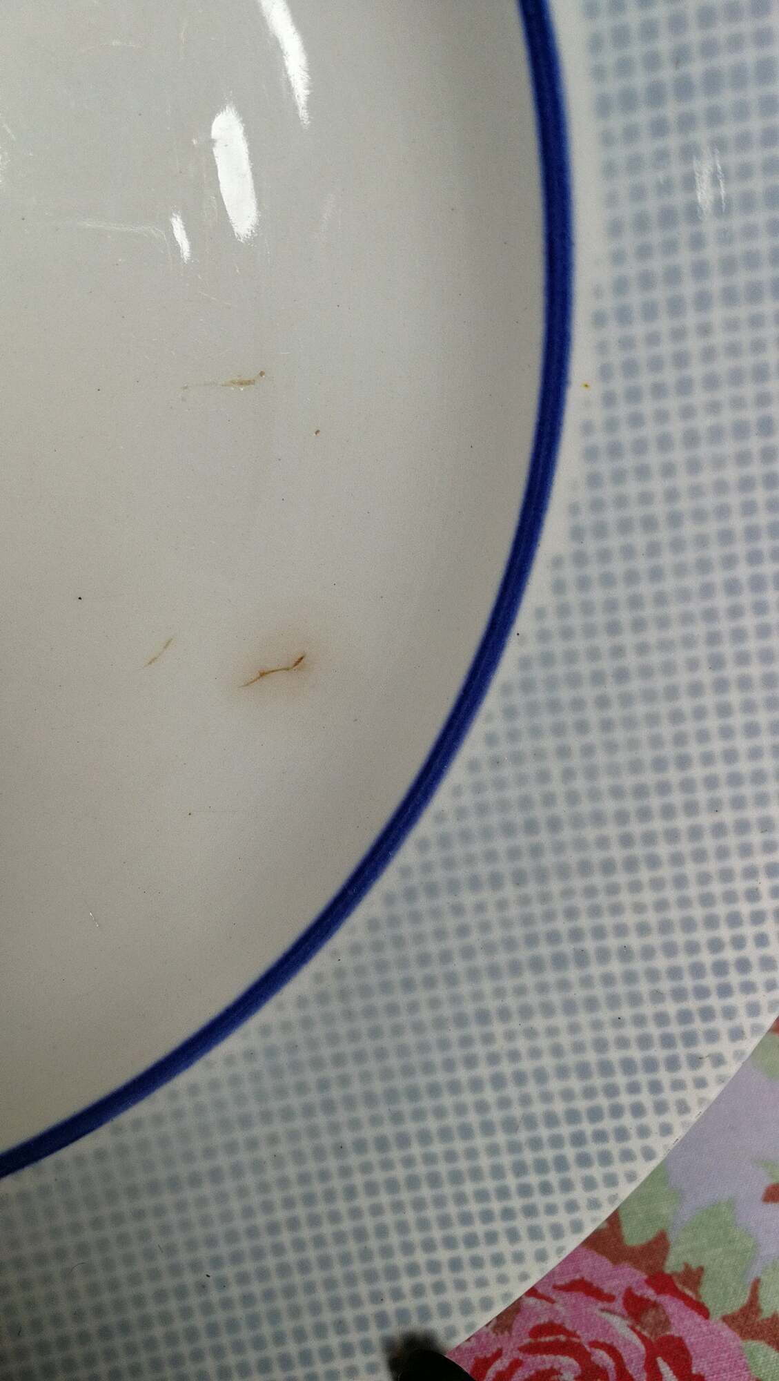 Large Plat Rond Former Digoin Sarreguemines Liseré Bleu Vichy Vintage