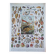 Lithograph zoological plate shells sea molluscs
