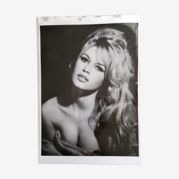 Photographie Brigitte Bardot de Bettmann et Corbis