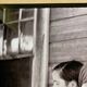 Fine Art Photograph - Elizabeth and Ida Ruth Tengle – Hale County, Alabama (1936)