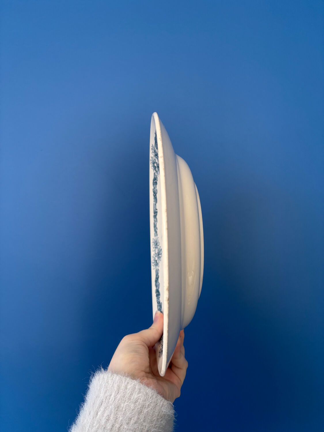 Set of 6 semi-deep plates in ironstone Longchamp model Denise.