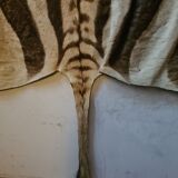Zebra skin