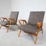 Mid-Century Modern Pair of Armchairs, 1950s, Czech Republic (New Ulphostery)