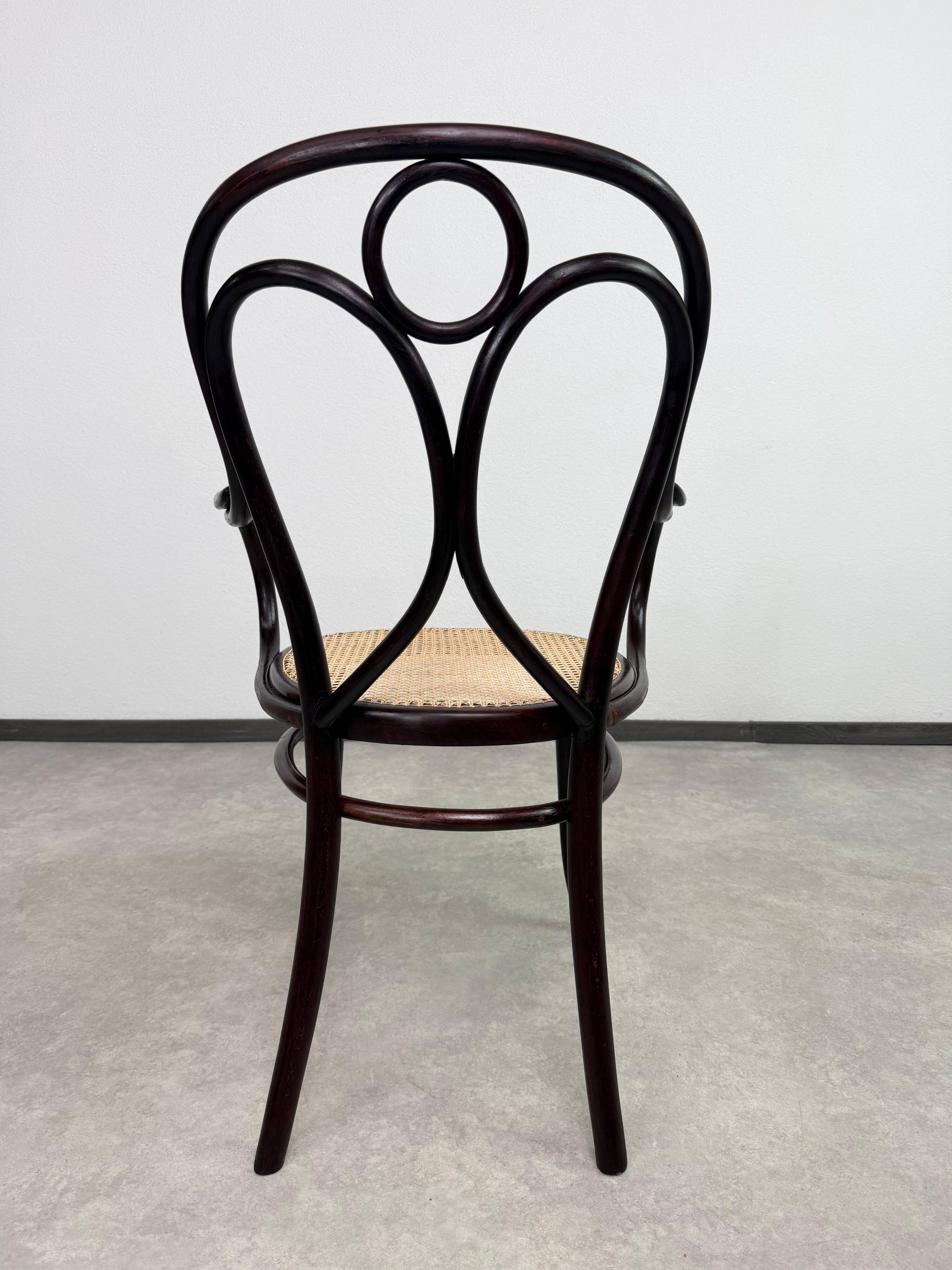 "Angel Back" armchair in bent wood no. 19 by Thonet