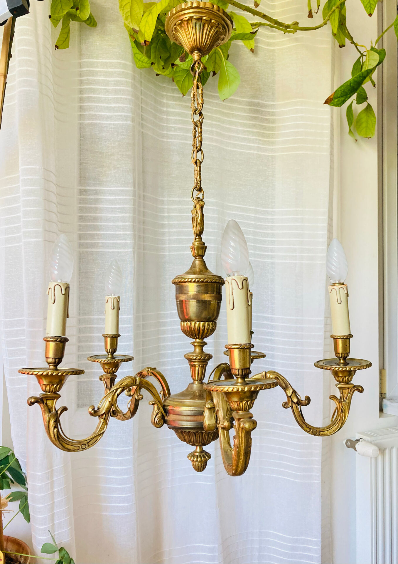 Louis XV style chandelier from the mid-20th century in solid gilded bronze.