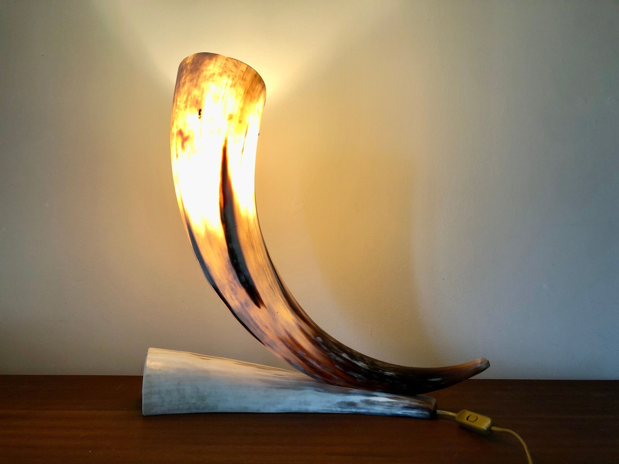 Grande lampe corne